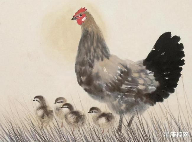 内幕披露:风调雨顺打一准确生肖