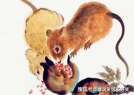 专家解析:高处下望是什么生肖