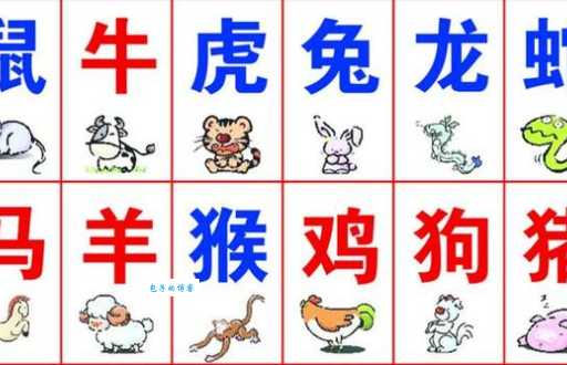 技术阐释:特码猜出是美人，蓝红开出生肖东猜动物