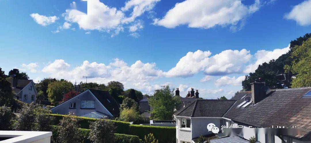 圈内揭秘（二十五度好天气）本期动物