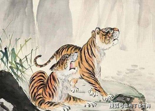 实战解析:高高在上打一生肖