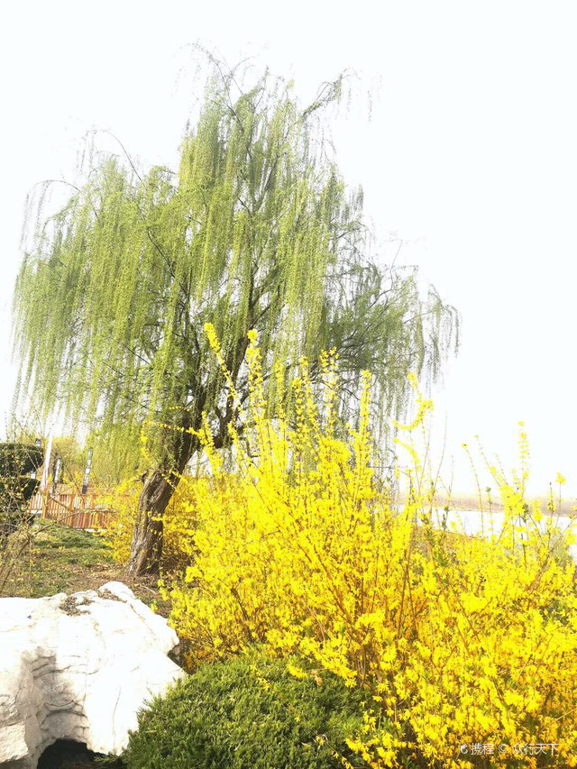 热点剖析:一年四季春为首，勤劳人家忙地头猜一准确动物