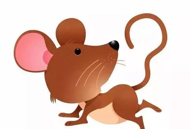 实战解析:但是羊虎加鸡猴，猪马万财鼠又来猜生肖