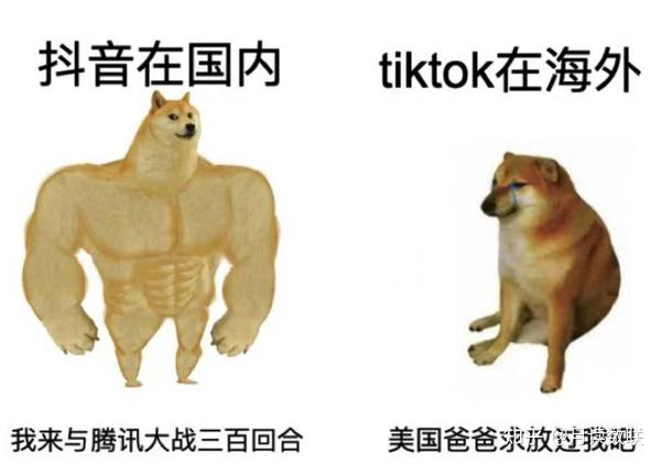 条理讲解:鸡飞狗跳猜指打个最佳精准代表哪一个生肖