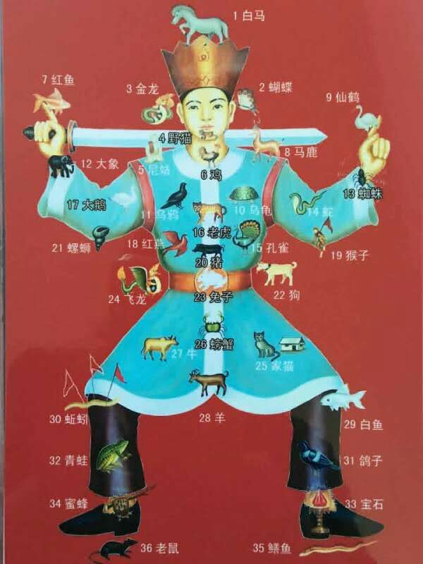 条理讲解:披褂上阵打一动物谜底