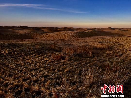 独家稿件（寸草不生）最正确生肖