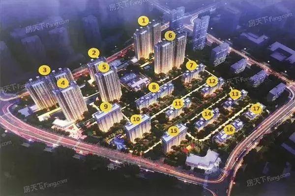 热点剖析:高高在上正确答案动物