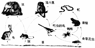 独家调查:千金纵买相如赋猜一准确动物