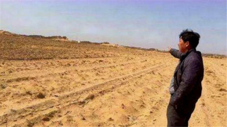 资深分析（寸草不生）猜本期动物