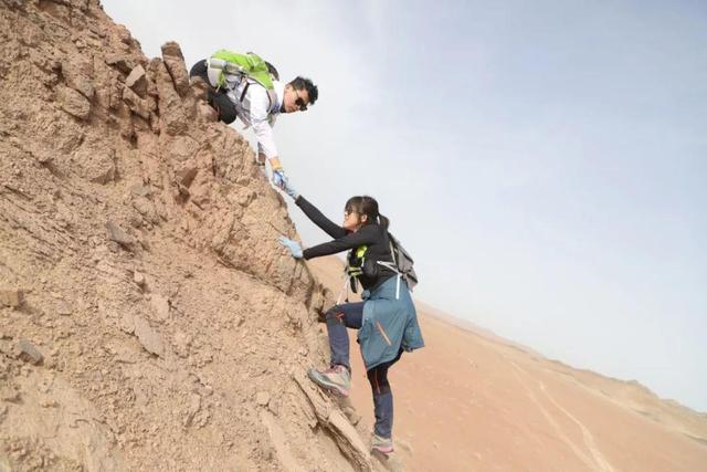 深度报道（金蛇狂午升平岁，沙场奋战揭尽力。代表什么生肖