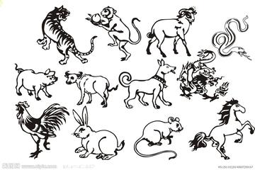 趋势研判:但是羊虎加鸡猴，猪马万财鼠又来指哪个生肖