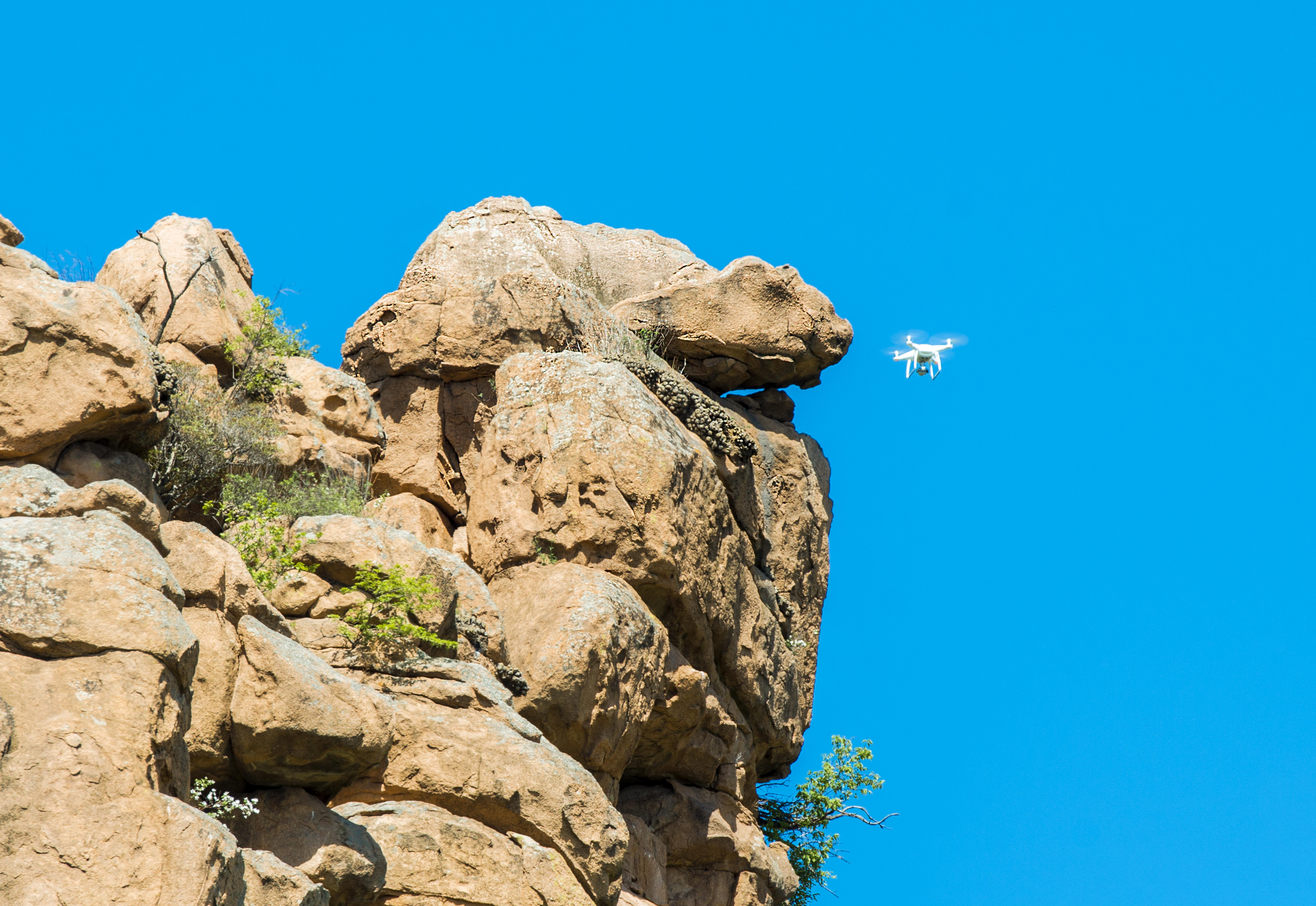 圈内解读（水落石出包公在，黄凤岭唐僧有难）打一生肖