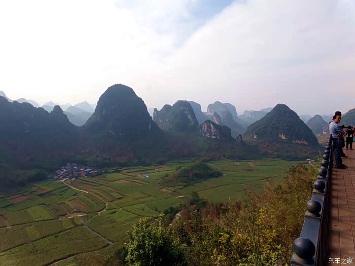 专家解析（日行千里）猜一动物