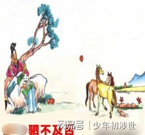 趋势研判:大有径庭猜生肖