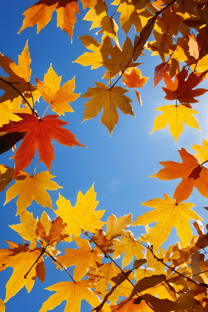 独家专访:五颜六色景如画，十八姑娘一朵花打一数字