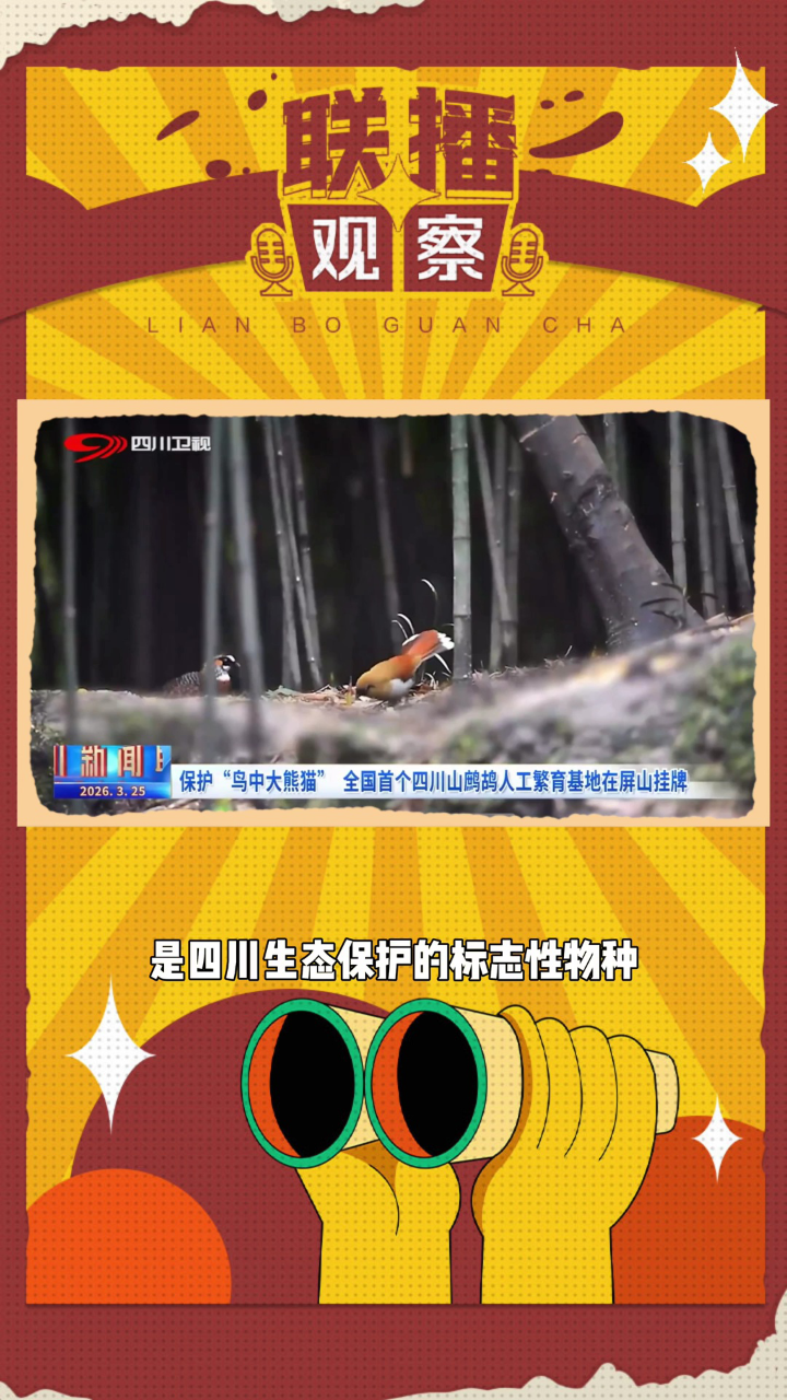 独家观察（点破玄机才知五）指什么动物