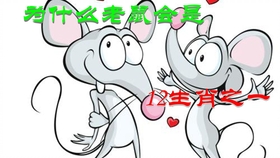 独家新闻:死前放屁又叫什么？绝响打一最佳生肖