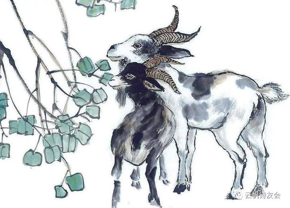 实战解析:三人同行必有师，诗情画意难搞懂打一准确生肖