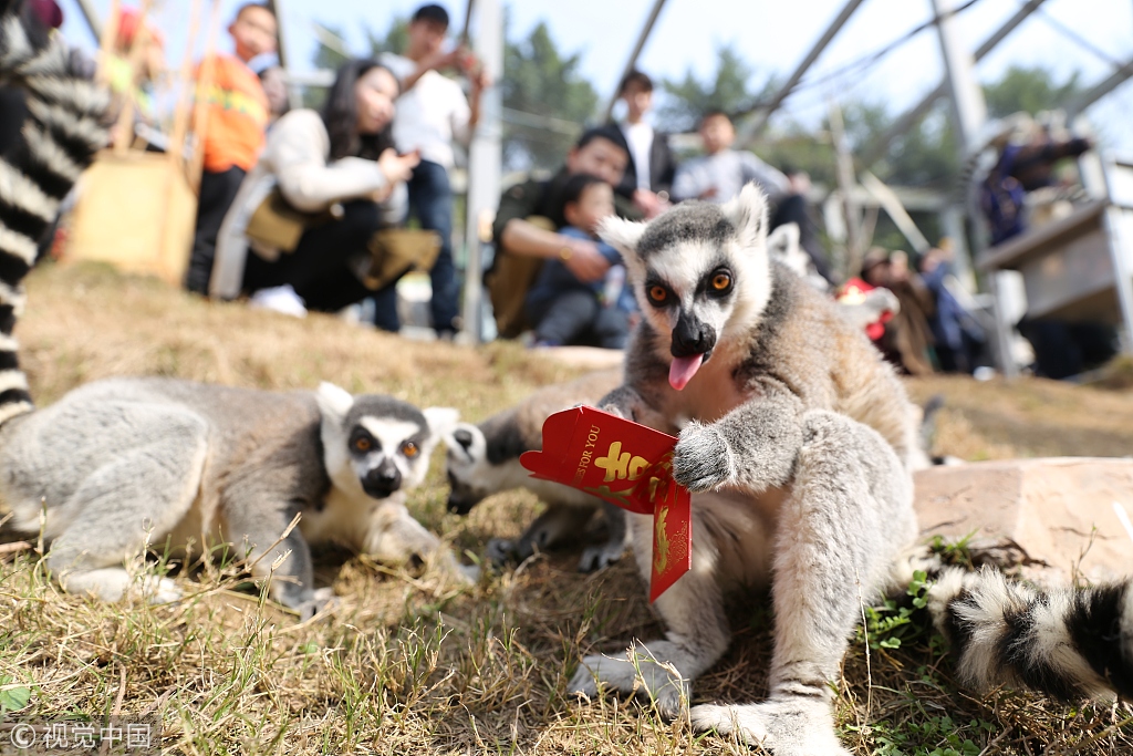 权威解读:家家户户指什么动物