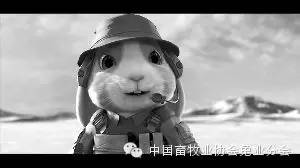 热点剖析:狡兔三窟指什么动物