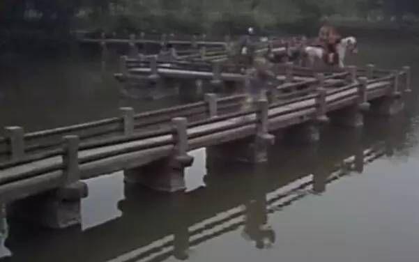 圈内解读（水落石出包公在，黄凤岭唐僧有难）打一生肖