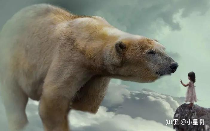 专家解析:望而生畏不敢进打一动物