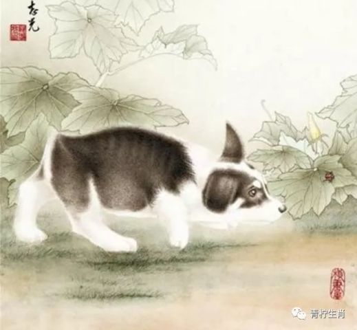 业内点评:怕吓的生肖打一数字