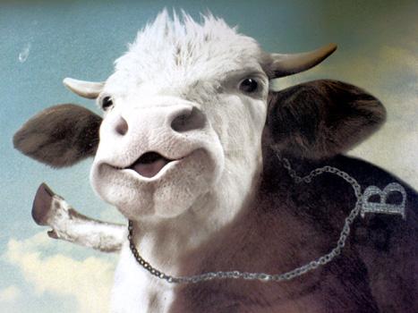 家点评:欲钱买忠厚老实的动物，欲钱看西游记第一回。打一生肖动物