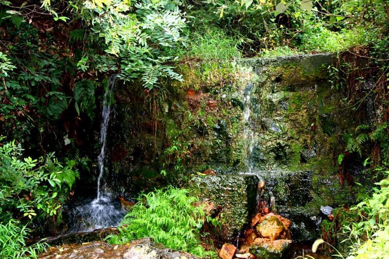 独家解读（龙山虎山两相朝，有情才有好风光。开过什么生肖