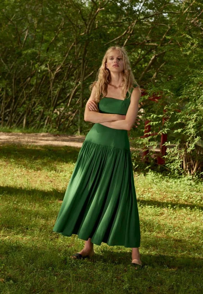 业内点评:草绿裙腰一道斜打一最佳动物