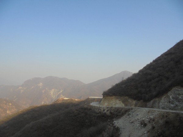 深度剖析（一山也可）打一生肖动物