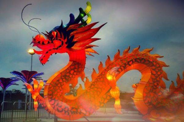 权威解读（家有龙凤共风雨，自私亦懒猪蛇来。最正确生肖