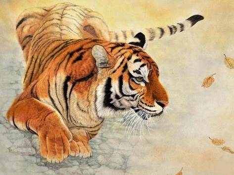 热点剖析:欲钱买四海为家的动物打一最佳生肖