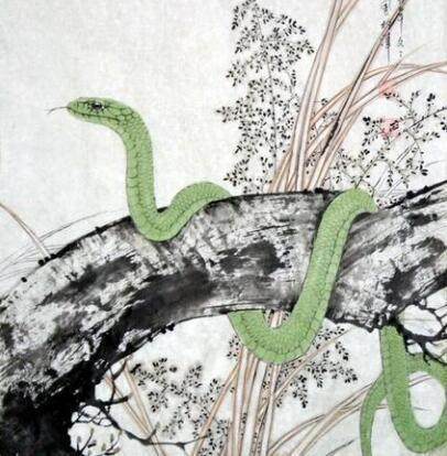 行家点评:龙飞凤舞—自相惊扰是什么生肖