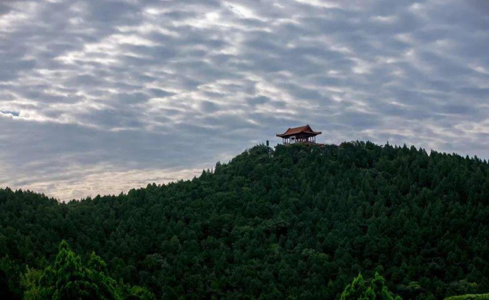 图文解析（一山也可）代表什么生肖