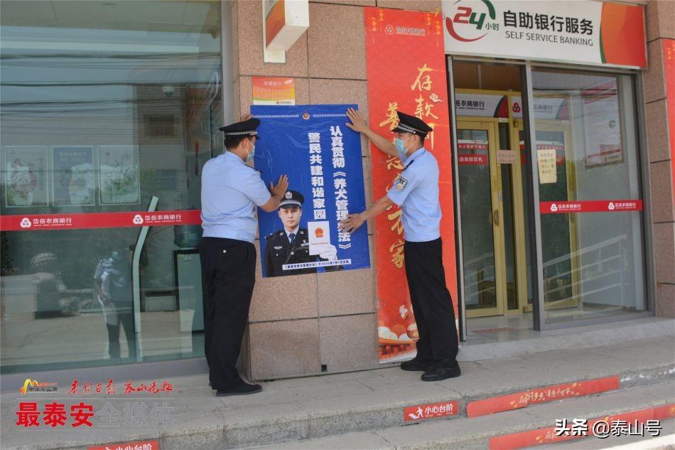 独家专访:春风化雨润绿草，犬守家园夜不息猜本期动物