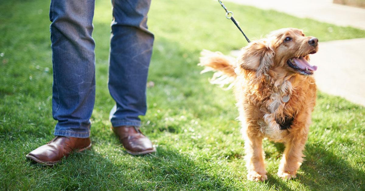独家视点（胆小如鼠—一上一下）猜指打个最佳精准代表哪一个生肖