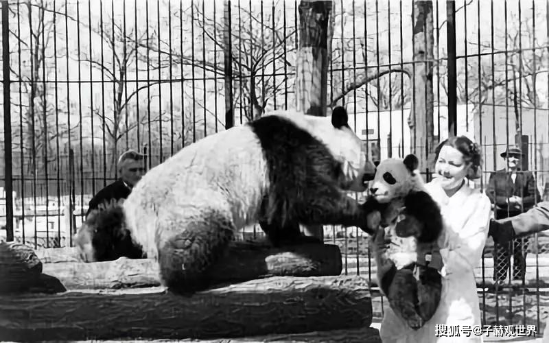 独家解读:金枝玉叶最娇贵，水满金山钱满仓比喻什么动物