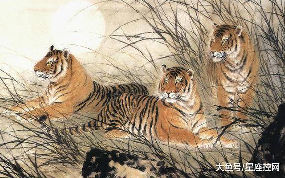 趋势研判:四海为家最正确生肖