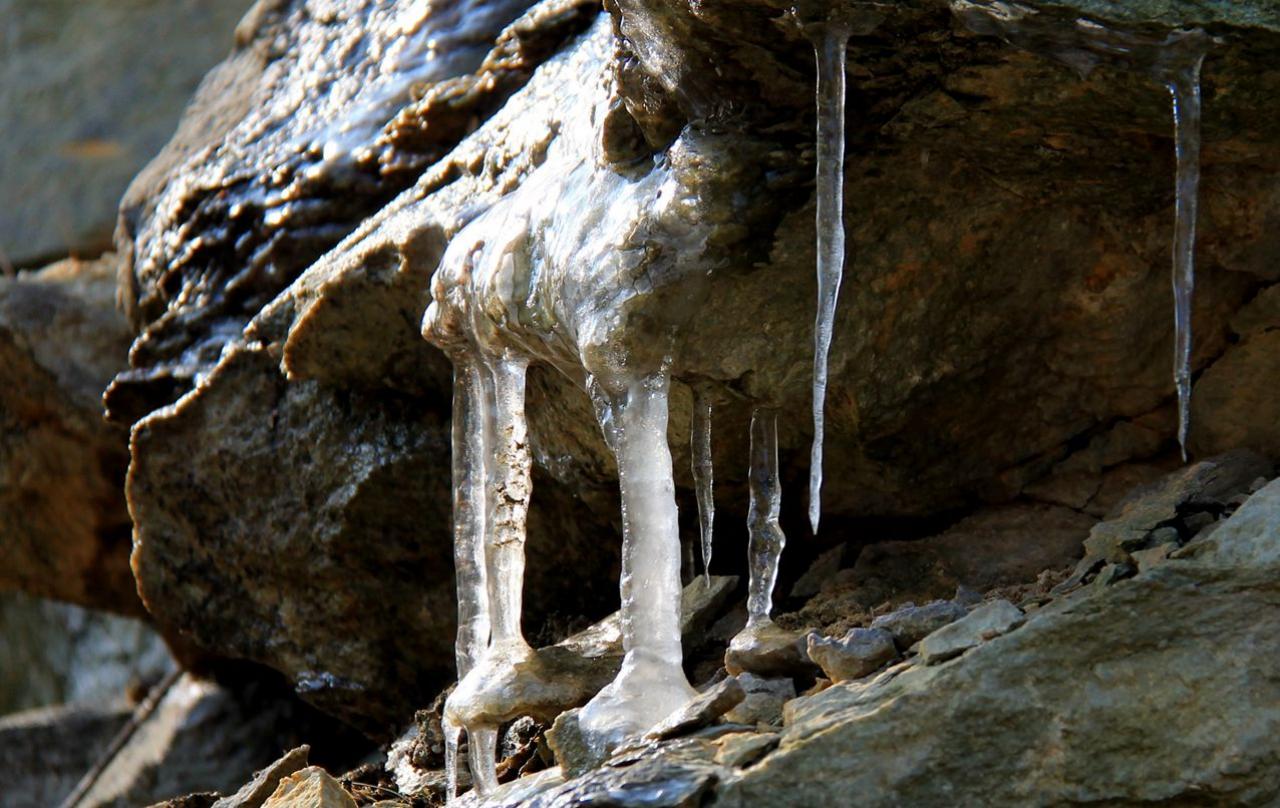 行家点评:滴水成冰正确答案动物