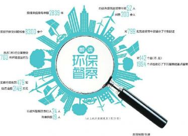 深度剖析:鸡飞狗跳指什么生肖