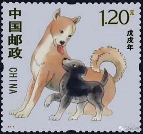 深度报道:找朋狗友的生肖猜一动物