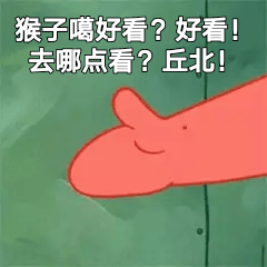 逐项解读:买猴输尽光，三两点鸥沙外月。本期动物