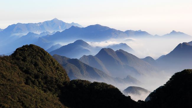 深度报道（一山也可）指代表是什么生肖