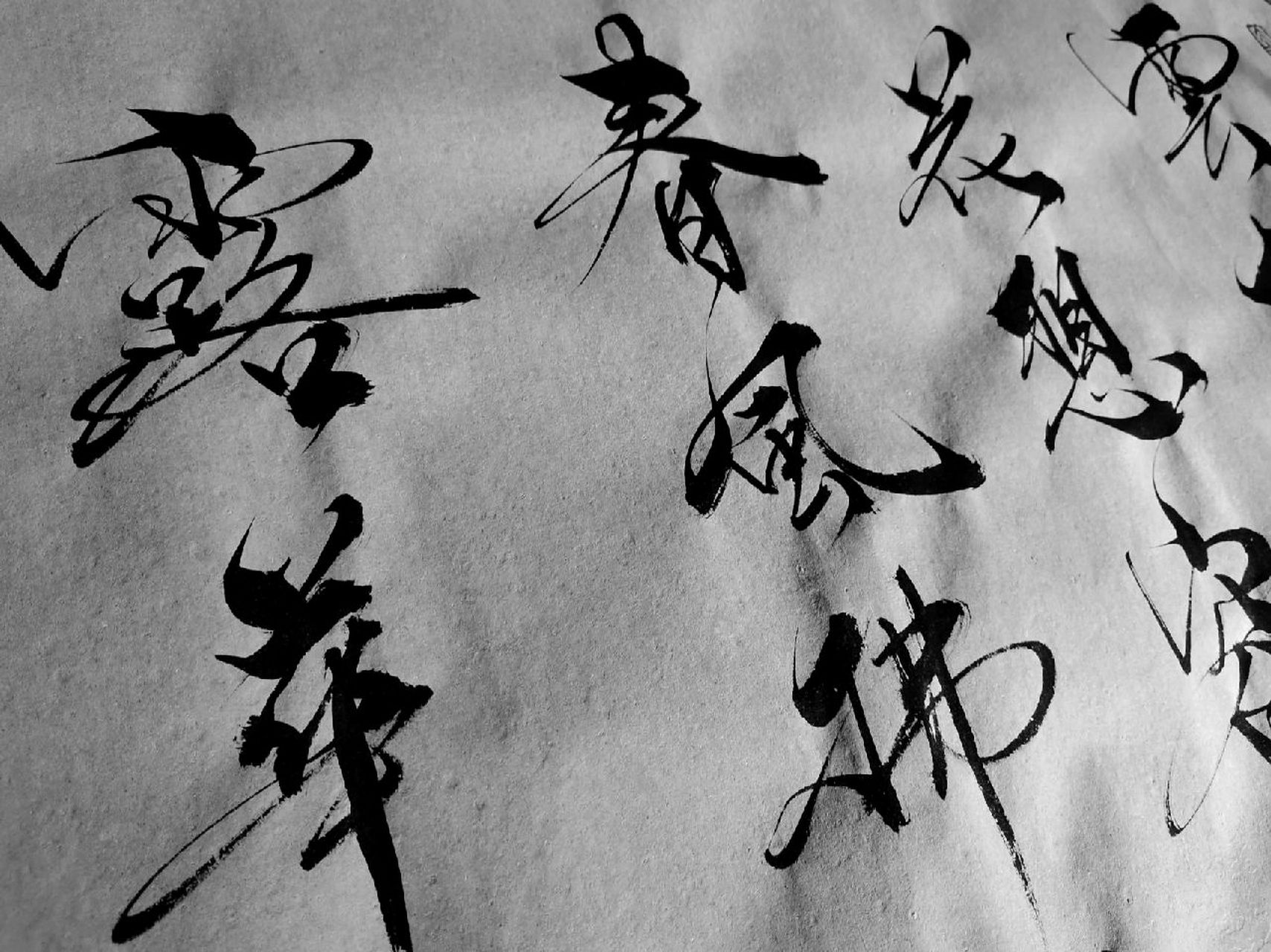 独家视点（独我煎茶续菜盘，细拂云枝栖凤惊）比喻什么动物