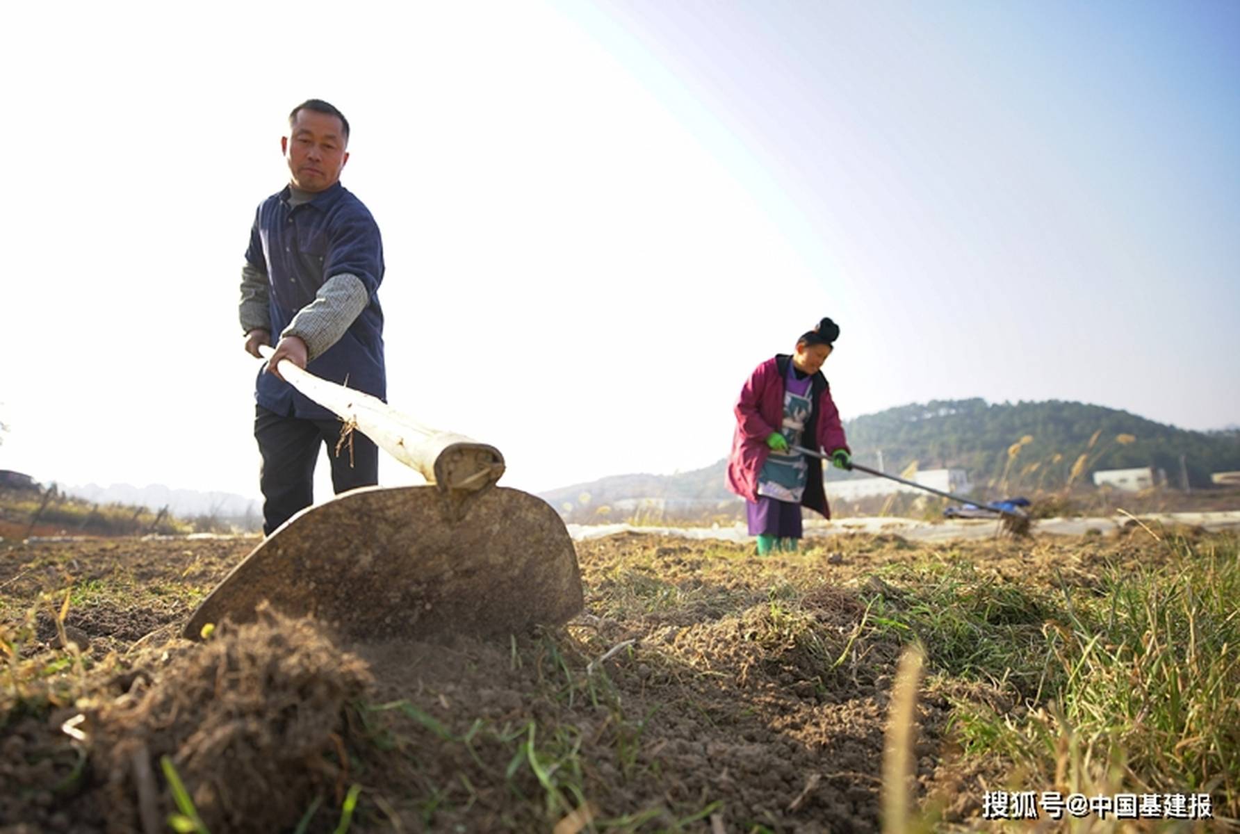 深度剖析:一年四季春为首，勤劳人家忙地头代表什么动物