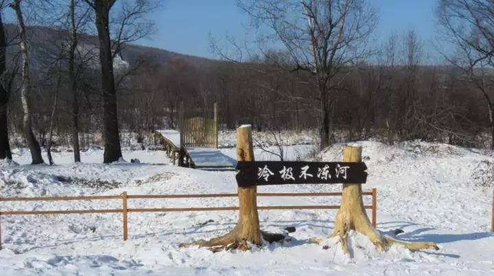 热点剖析:滴水成冰比喻什么动物