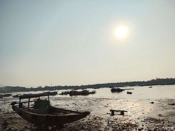 专家解析（日行千里）猜一动物