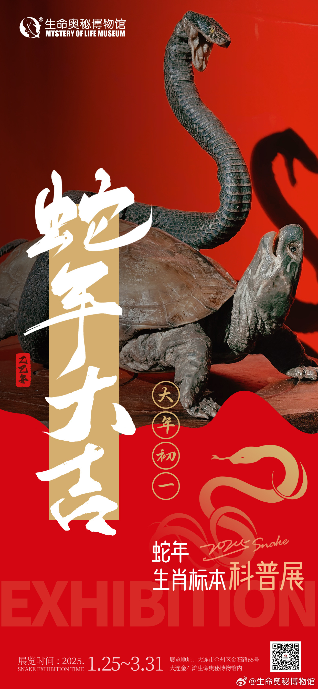 深度报道（金蛇狂午升平岁，沙场奋战揭尽力。最正确生肖