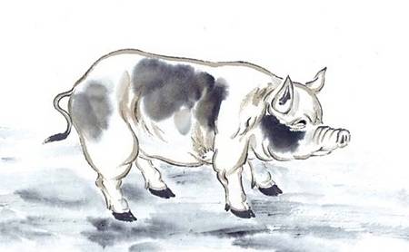 观点输出:欲钱买忠厚老实的动物，欲钱看西游记第一回。打一最佳生肖